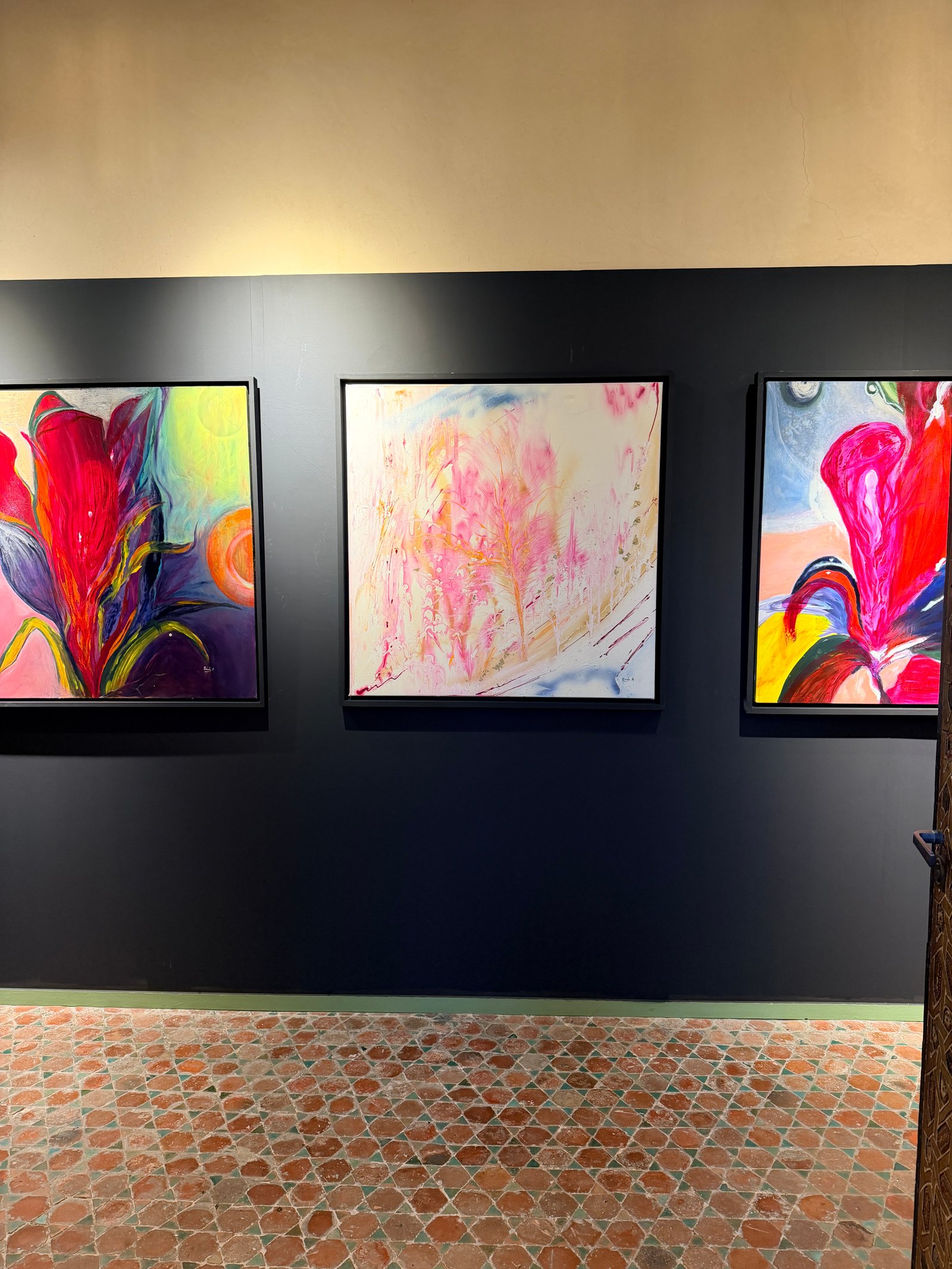 La Lumière de Tanger — Zineb Alami Ouali